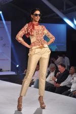 at Green Fashion Awards in Lalit Hotel, Mumbai on 6th April 2013 (41).JPG